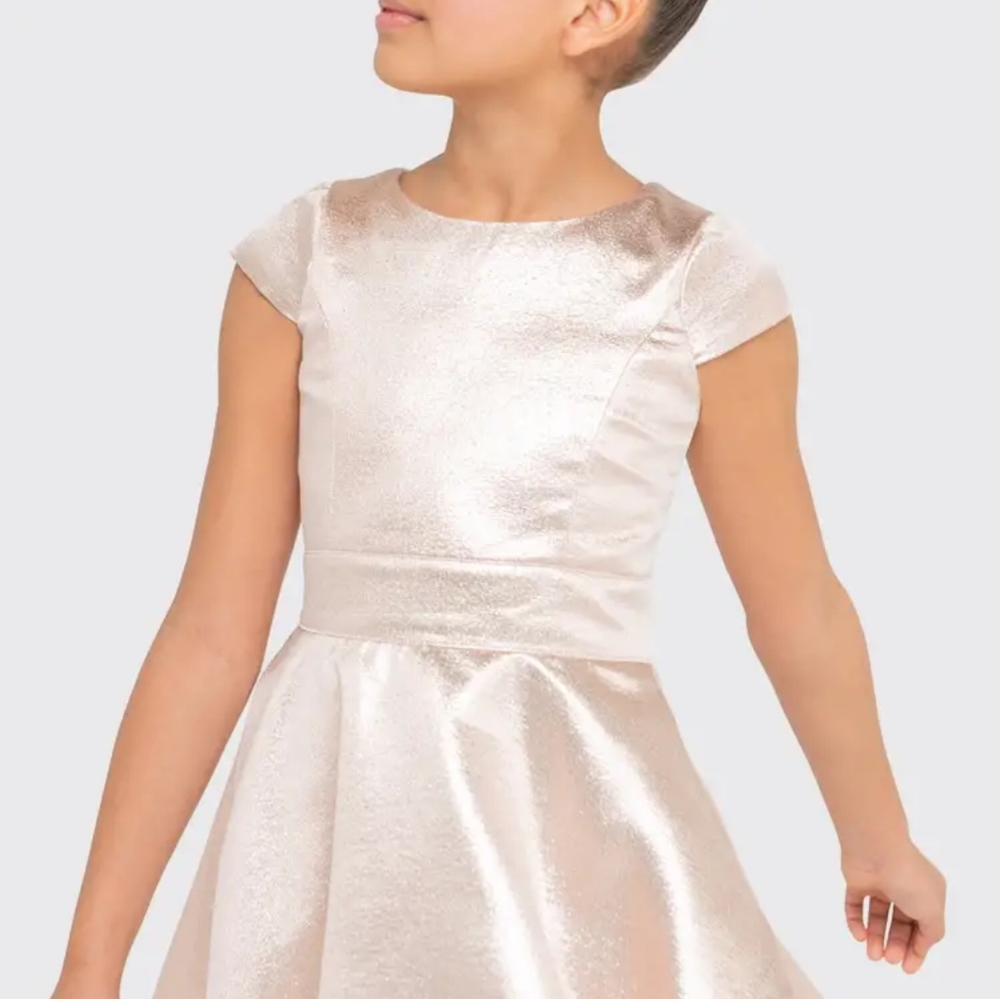 rose Metallic party dress Zoe LTD size 12